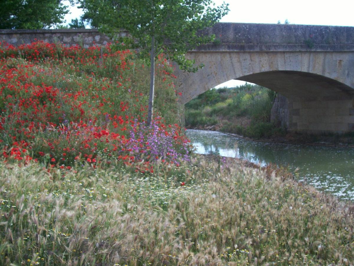 Tamariz de Campos Quinta Del Canalゲストハウス エクステリア 写真