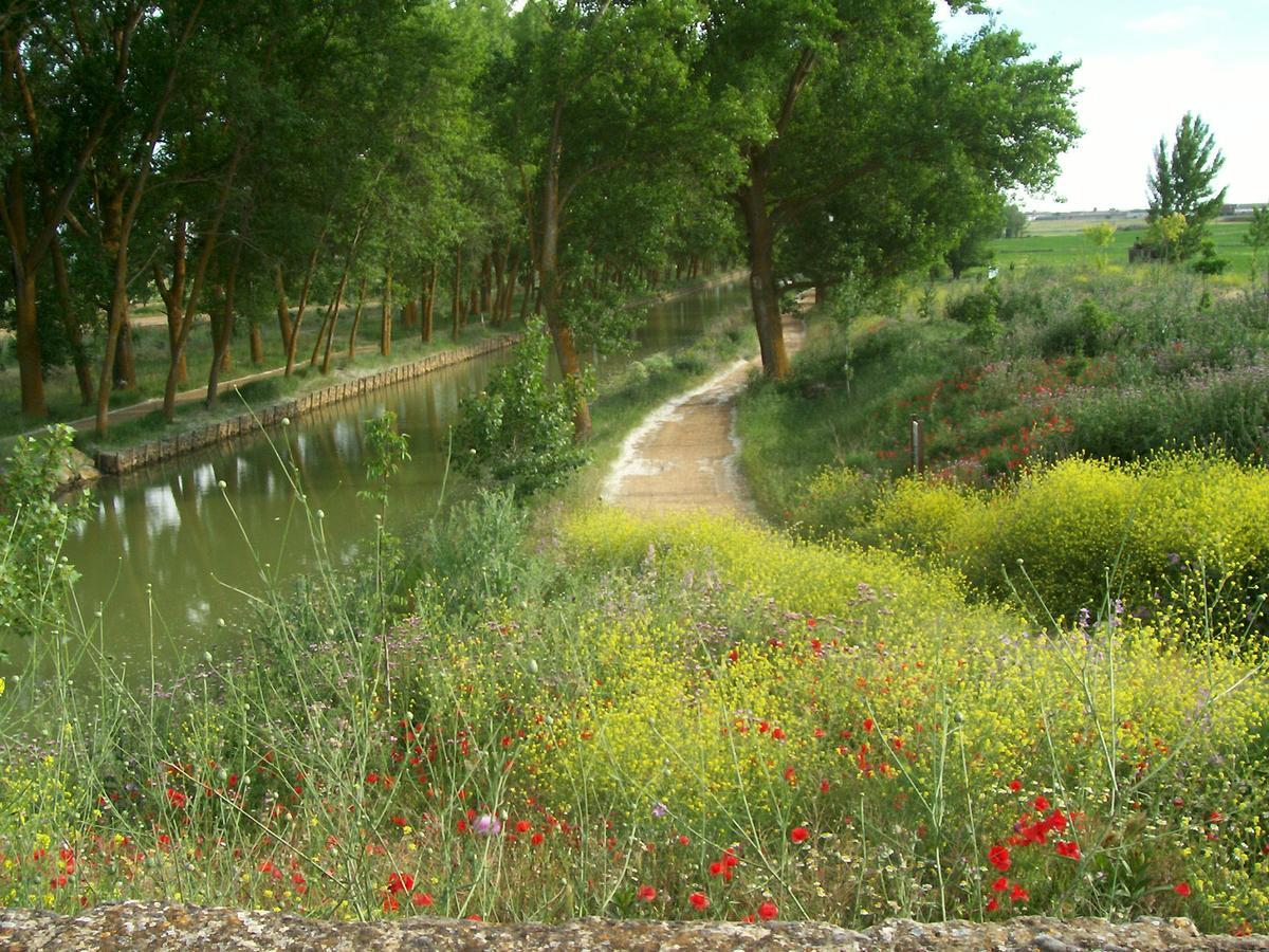 Tamariz de Campos Quinta Del Canalゲストハウス エクステリア 写真