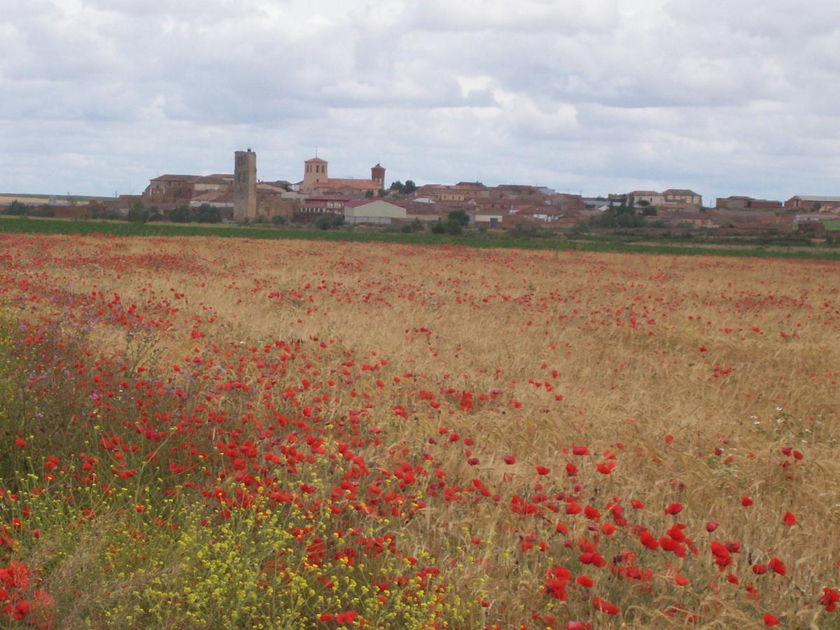 Tamariz de Campos Quinta Del Canalゲストハウス エクステリア 写真