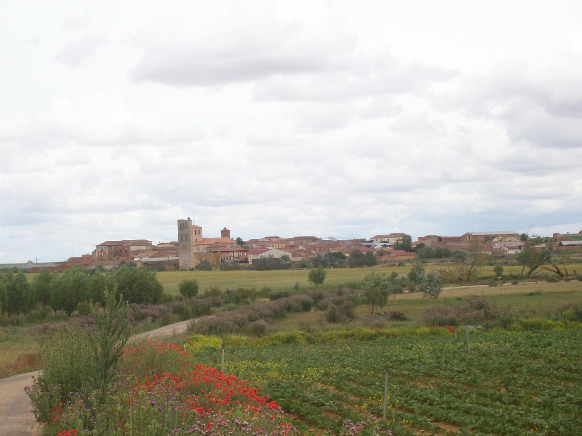 Tamariz de Campos Quinta Del Canalゲストハウス エクステリア 写真