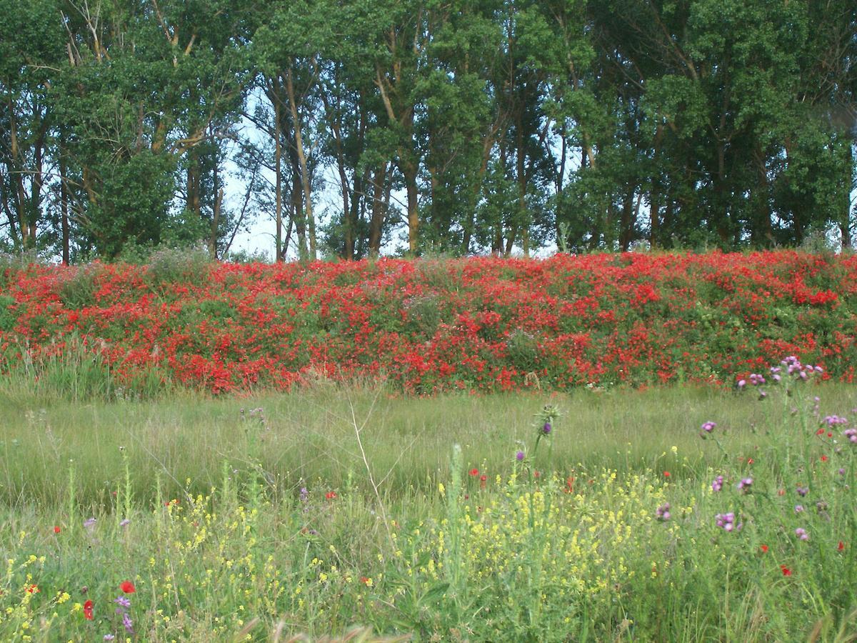 Tamariz de Campos Quinta Del Canalゲストハウス エクステリア 写真